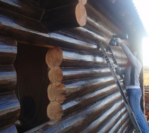 Защита антисептиком древесных конструкций